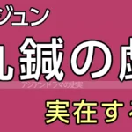 九鍼の戯